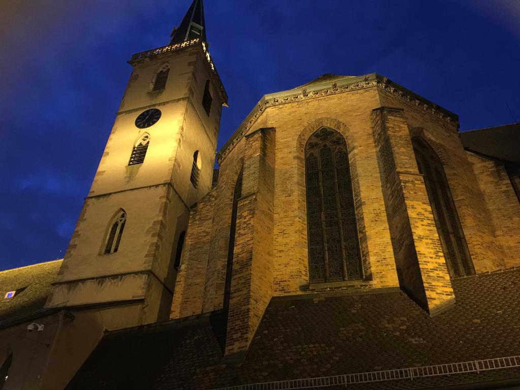 ストラスブールLa Cour Des Cordonniers, Centre Cathedrale Petite Franceアパートメント エクステリア 写真