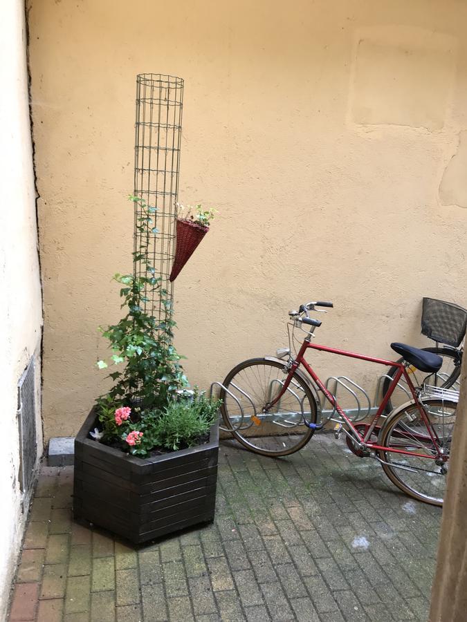 ストラスブールLa Cour Des Cordonniers, Centre Cathedrale Petite Franceアパートメント エクステリア 写真